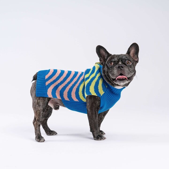 4. Verloop Sound Wave Dog Sweater